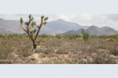 242-05-015 Gene Autry Rd, Yucca, AZ 86438 - Photo 31