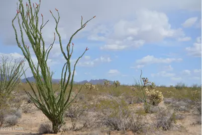 207-17169A Cherry Rd, Yucca, AZ 86438 - Photo 21