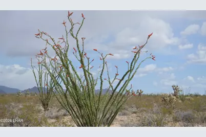 207-17169A Cherry Rd, Yucca, AZ 86438 - Photo 35