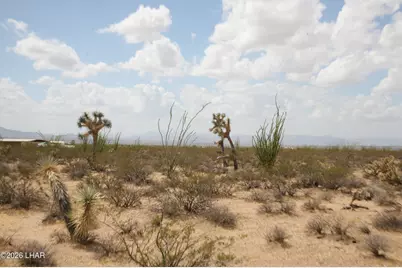 207-17169A Cherry Rd, Yucca, AZ 86438 - Photo 13