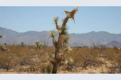 207-17-097 Cameron, Yucca, AZ 86438 - Photo 3