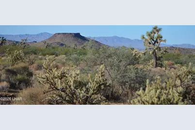 244-09137A Martin Dr, Yucca, AZ 86438 - Photo 5