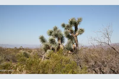 244-09137A Martin Dr, Yucca, AZ 86438 - Photo 69