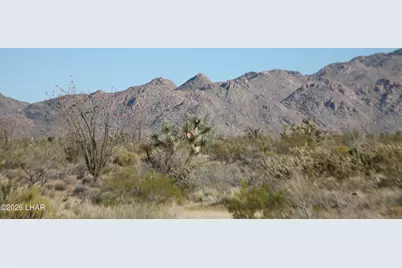 244-09137A Martin Dr, Yucca, AZ 86438 - Photo 37