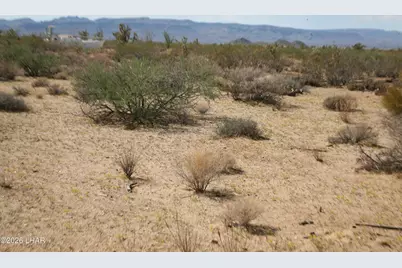 244-09137A Martin Dr, Yucca, AZ 86438 - Photo 77