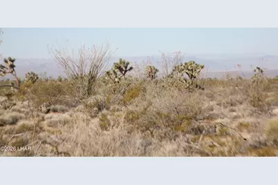 244-09137A Martin Dr, Yucca, AZ 86438 - Photo 57