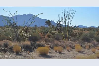 244-09137A Martin Dr, Yucca, AZ 86438 - Photo 23
