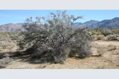 244-09137A Martin Dr, Yucca, AZ 86438 - Photo 29