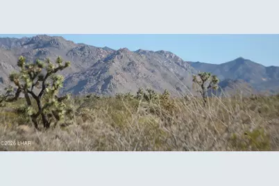 244-09137A Martin Dr, Yucca, AZ 86438 - Photo 39