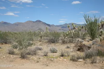 244-09137A Martin Dr, Yucca, AZ 86438 - Photo 83