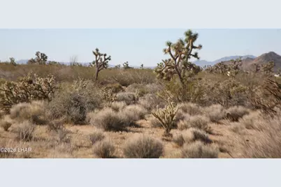 244-09137A Martin Dr, Yucca, AZ 86438 - Photo 51