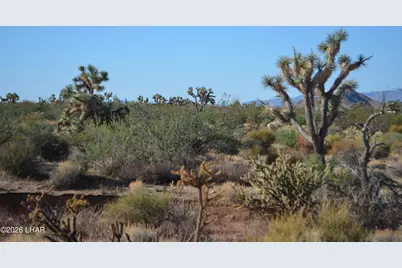 244-09137A Martin Dr, Yucca, AZ 86438 - Photo 3