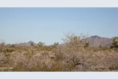 244-09137A Martin Dr, Yucca, AZ 86438 - Photo 65