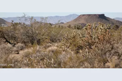 244-09137A Martin Dr, Yucca, AZ 86438 - Photo 53