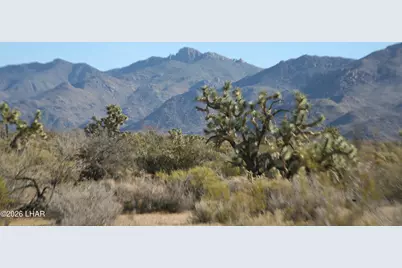 244-09137A Martin Dr, Yucca, AZ 86438 - Photo 41