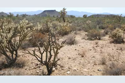 244-09137A Martin Dr, Yucca, AZ 86438 - Photo 73