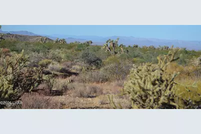 244-09137A Martin Dr, Yucca, AZ 86438 - Photo 7