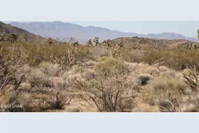 244-09137A Martin Dr, Yucca, AZ 86438 - Photo 55