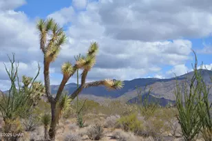 767 E Alamo/La Cienega Dr, Yucca, AZ 86438 - Photo 1