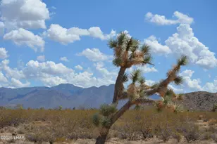 Lot P6A S Suzette Rd, Yucca, AZ 86438 - Photo 1