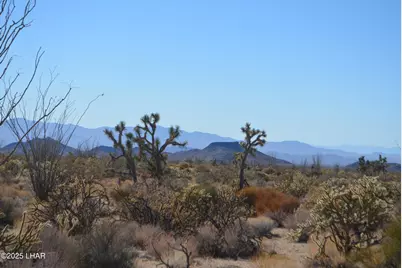 Lot 350 Arapaho Dr, Yucca, AZ 86438 - Photo 1