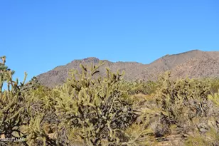 11872 Suzette Rd, Yucca, AZ 86438 - Photo 1