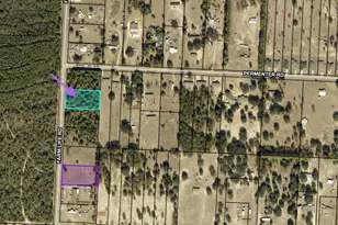 Tbd Farm Life Rd, Milton, FL 32583 - Photo 1