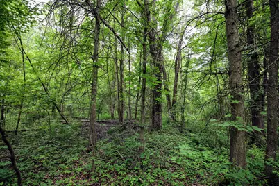 27015 50th St, Bangor, MI 49013 - Photo 21