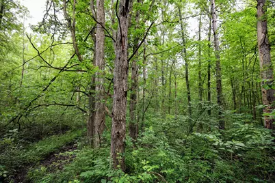 27015 50th St, Bangor, MI 49013 - Photo 19