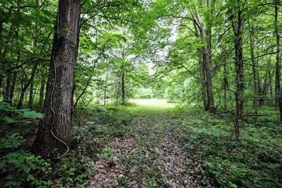 27015 50th St, Bangor, MI 49013 - Photo 35