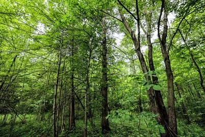 27015 50th St, Bangor, MI 49013 - Photo 33