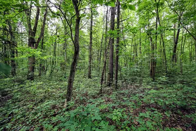 27015 50th St, Bangor, MI 49013 - Photo 17