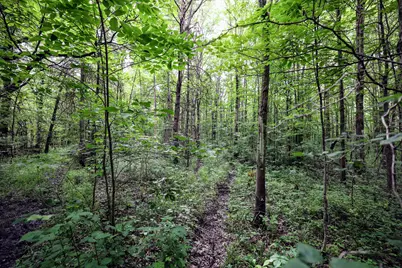 27015 50th St, Bangor, MI 49013 - Photo 11