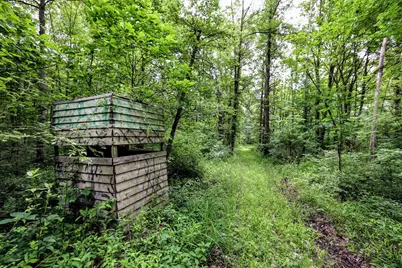 27015 50th St, Bangor, MI 49013 - Photo 9