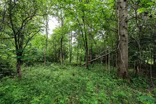 27015 50th St, Bangor, MI 49013 - Photo 1