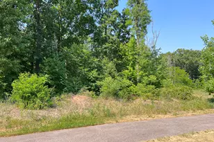 8532 Brighten Trail, Mattawan, MI 49071 - Photo 3