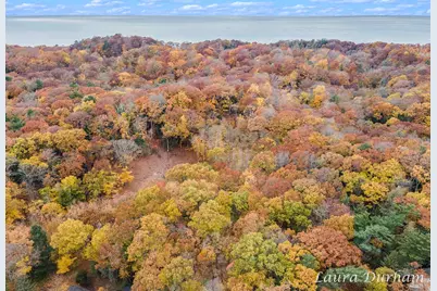 Vl Park Street, Saugatuck, MI 49453 - Photo 11
