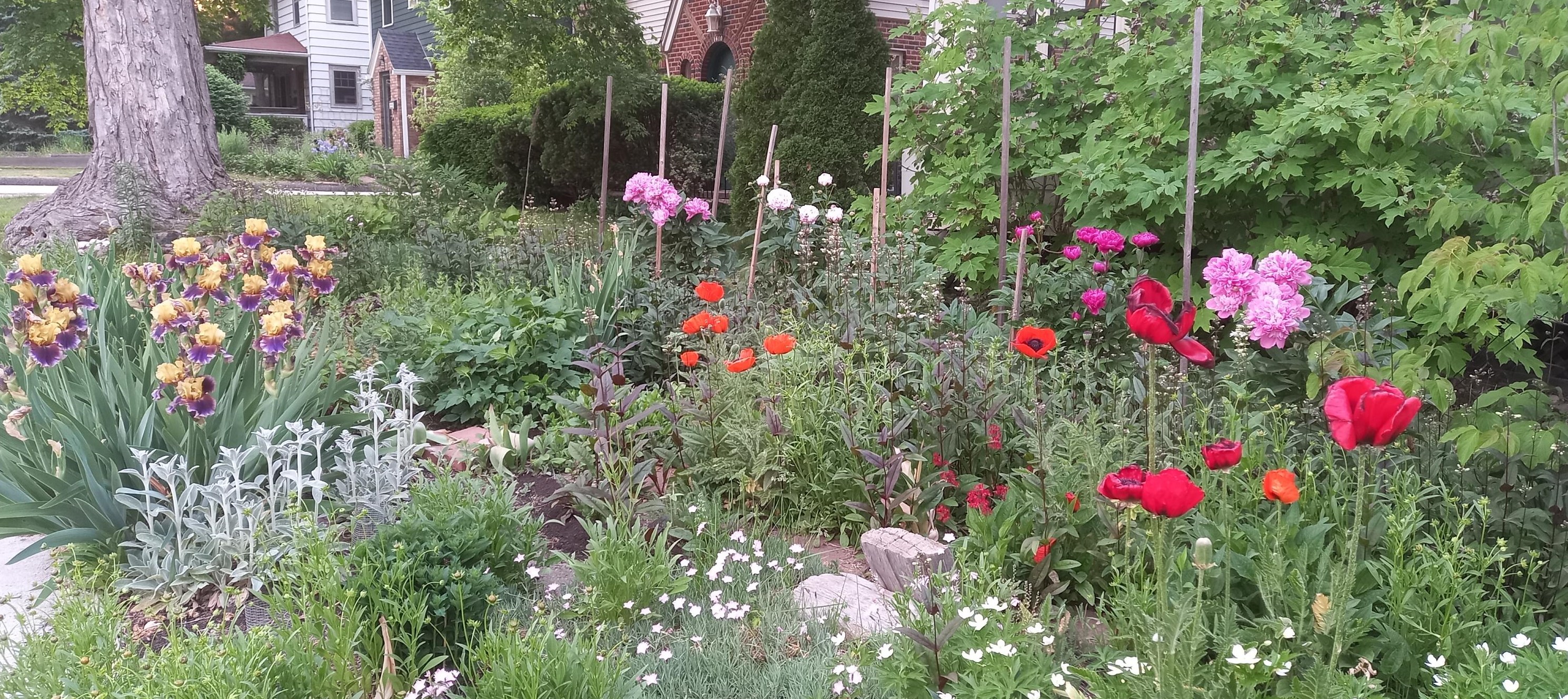 1608 Dexter Ave, Ann Arbor MI 48103-4005 exterior