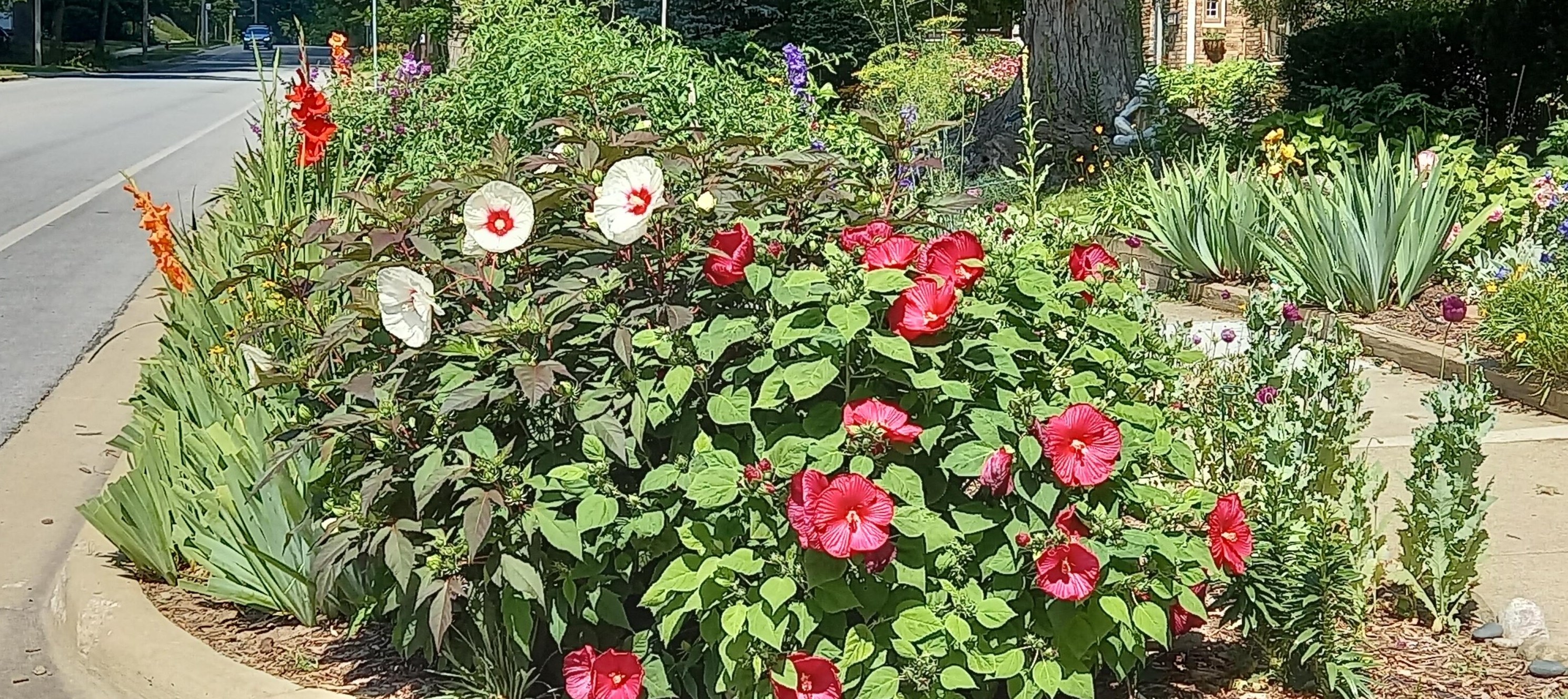 1608 Dexter Ave, Ann Arbor MI 48103-4005 exterior