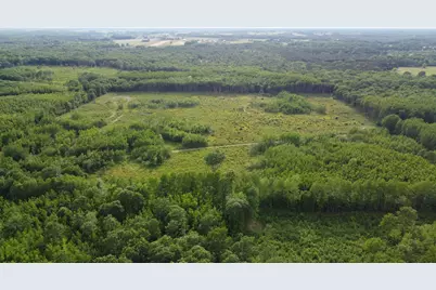 E Freesoil Road #40 acres, Free Soil, MI 49411 - Photo 15