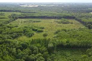 E Freesoil Rd, Free Soil, MI 49411 - Photo 15