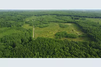 E Freesoil Road #40 acres, Free Soil, MI 49411 - Photo 19