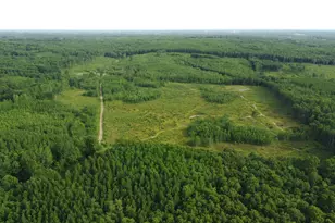 E Freesoil Rd, Free Soil, MI 49411 - Photo 19