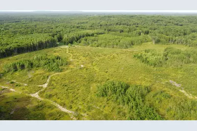 E Freesoil Road #40 acres, Free Soil, MI 49411 - Photo 23