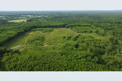 E Freesoil Road #40 acres, Free Soil, MI 49411 - Photo 13