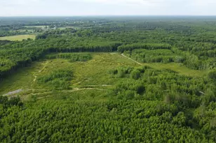 E Freesoil Rd, Free Soil, MI 49411 - Photo 13