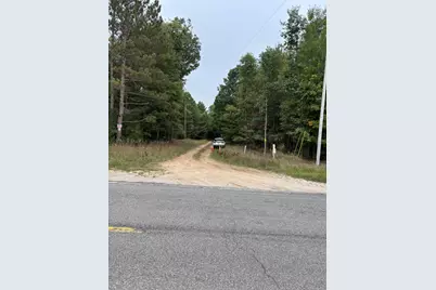 E Freesoil Road #40 acres, Free Soil, MI 49411 - Photo 3