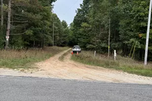 E Freesoil Rd, Free Soil, MI 49411 - Photo 3