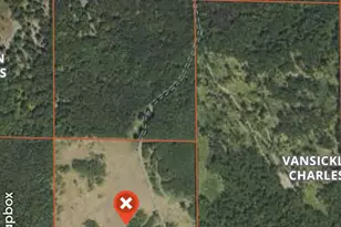 E Freesoil Rd, Free Soil, MI 49411 - Photo 5