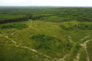 E Freesoil Rd, Free Soil, MI 49411 - Photo 21